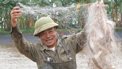 ចិញ្ចឹម​ត្រី​ក្អែក​ឆ្ងាញ់ កសិករ Thai Binh ងាយស្រួល​រក​ចំណូល ៣០០ លាន​ក្នុង​មួយ​ឆ្នាំ