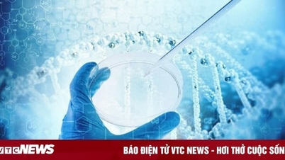 Nỗi lo của người xin tinh trùng: Sợ bị đòi con, kết hôn cận huyết