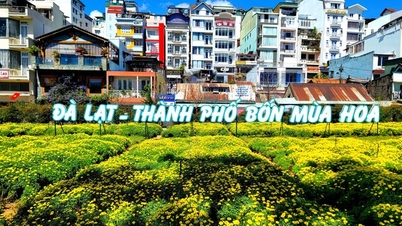 ពិធីបុណ្យផ្កា Da Lat ឆ្នាំនេះនឹងមានលក្ខណៈពិសេសថ្មីៗជាច្រើន។