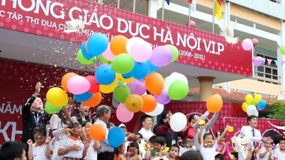 Công ty xi măng thế chấp Trường Tiểu học quốc tế ở Hà Nội, ngân hàng rao bán