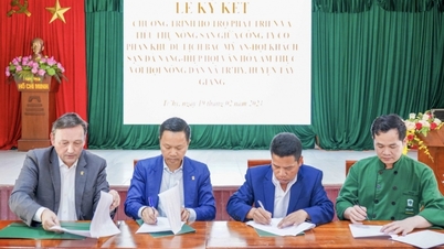 Hỗ trợ tiêu thụ nông sản cho huyện miền núi của Quảng Nam