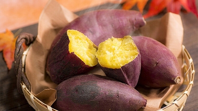 Khoai lang ăn phần củ hay lá tốt hơn?