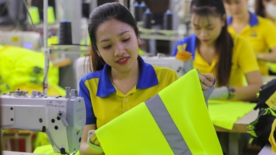 Vietnam's economy has overcome the waves in a year