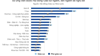 89 ứng viên bị loại khỏi danh sách xét giáo sư, phó giáo sư