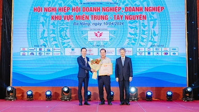 កំពង់ផែ Da Nang ផ្តោតលើធនធានលើការពង្រីក និងអភិវឌ្ឍកំពង់ផែសមុទ្រ និងប្រព័ន្ធភស្តុភារ