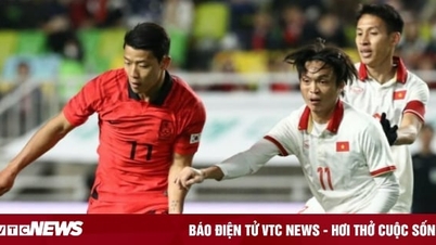 Đội tuyển Việt Nam mất điểm trên bảng xếp hạng FIFA