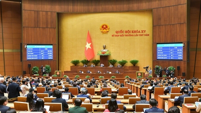 Không để luật chờ nghị định