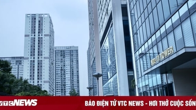 Skyrocketing, when will real estate prices cool down?