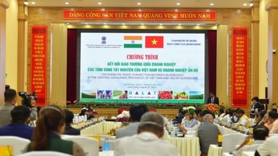 Các tỉnh, thành phố Tây Nguyên và doanh nghiệp Ấn Độ kết nối giao thương