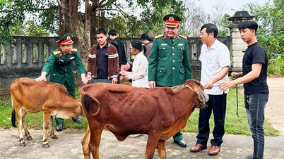 Trao tặng bò cho gia đình quân nhân khó khăn có thanh niên nhập ngũ