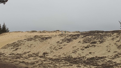 Suspending ATVs at Quang Binh Sand Dunes, Billions of Dong 'Shelved'