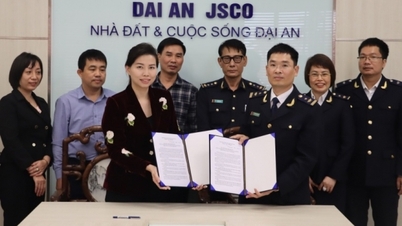 Hải quan Hải Phòng: 3 nội dung trọng tâm hợp tác Hải quan – Doanh nghiệp