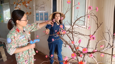 Lính mũ nồi xanh trang trí mai, đào trên cành cây rừng châu Phi