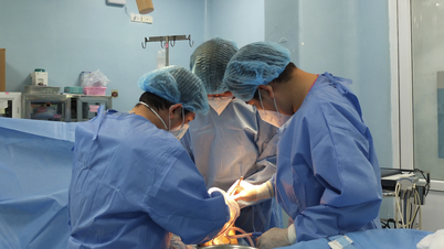 Zwei Leben nach Herztransplantation wiederbelebt