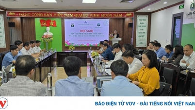 Lao Cai ពិភាក្សា​អំពី​ដំណោះស្រាយ​ដើម្បី​ស្តារ​វិស័យ​ទេសចរណ៍​ឡើងវិញ​ក្រោយ​ឥទ្ធិពល​ព្យុះ Yagi
