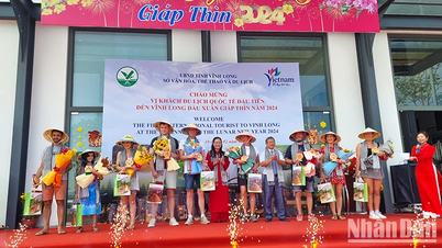 Vĩnh Long đón những vị khách quốc tế đầu tiên