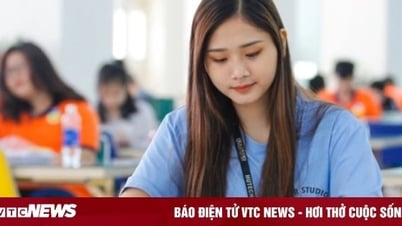 Studying Chinese Pedagogy, is there any fear of unemployment?