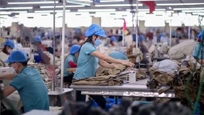 Những điều người lao động cần biết