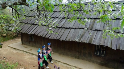 សម្រស់​ដ៏​ប្លែក​ពី​គេ​នៃ​ផ្ទះ​ឈើ​បុរាណ​នៅ​ជើង​ភ្នំ​ពោធិ៍​សាល​ឡេង