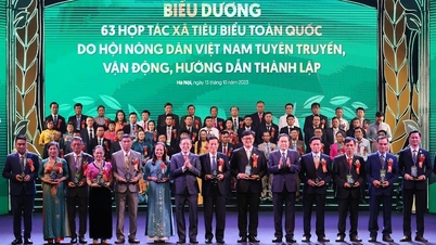 Chương trình Tự hào Nông dân Việt Nam: Bình Điền vinh dự là bạn đồng hành suốt 11 năm