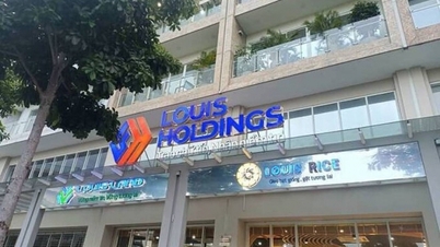ប្រាក់ចំណេញរបស់ក្រុមហ៊ុន Golden Group (TGG) ធ្លាក់ចុះ 99% ពិន័យជាប្រាក់ចំនួន 92.5 លានដុង