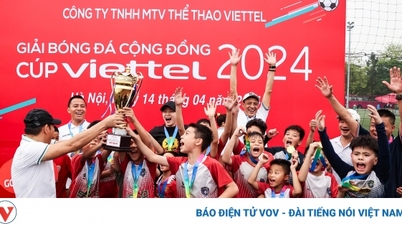 Gần 900 cầu thủ nhí tham dự Cúp Viettel 2024