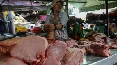 Thịt heo nhập khẩu giá rẻ đe dọa ngành chăn nuôi