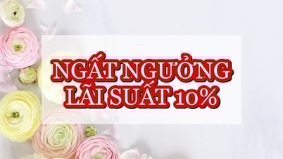 Trọn bộ lãi suất cao nhất 10%