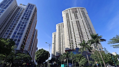 Quan trọng nhất là phù hợp quy hoạch