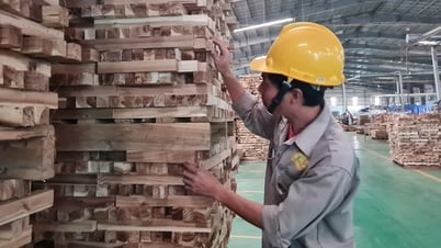 Wood exports to the US skyrocketed by more than 120%, is it surprising?