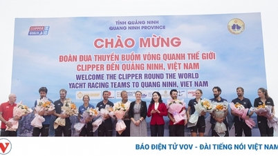 Quảng Ninh chào mừng đoàn đua thuyền buồm vòng quanh thế giới Clipper