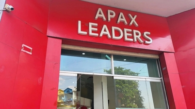 ក្រុមហ៊ុន Apax English ជំពាក់ប្រាក់ធានារ៉ាប់រងជាង 33 ពាន់លានដុងសម្រាប់បុគ្គលិកនៅទីក្រុងហូជីមិញ