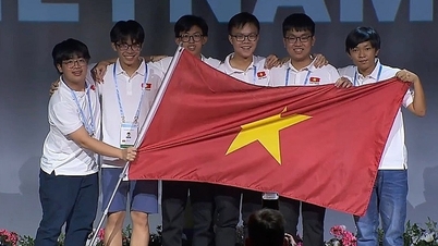 37 học sinh vào đội tuyển thi Olympic khu vực và quốc tế