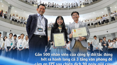 Chiến dịch giải cứu trên đất Nhật khiến 500 nhân viên công ty đối tác cảm ơn FPT