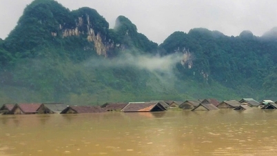 'មជ្ឈមណ្ឌលទឹកជំនន់' Tan Hoa ជន់លិចដល់ទៅ 2 ម៉ែត្រ ផ្ទះរាប់រយគ្រួសារ ជ្រកផ្ទះបណ្តែតទឹក