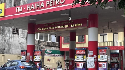 Hai Ha Petro មិន​បាន​សង​បំណុល​ជាង 600 ពាន់​លាន​ដុង​ដល់​មូលនិធិ​ស្ថិរភាព​ប្រេង