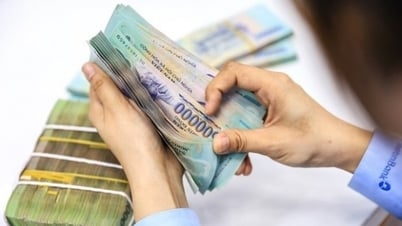 Những trường hợp cấm cho vay mới nhất theo Thông tư 06/2023/TT-NHNN