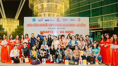 ទីក្រុង Da Nang ស្វាគមន៍ការហោះហើរលើកដំបូងពីហ្សាកាតា ប្រទេសឥណ្ឌូនេស៊ី