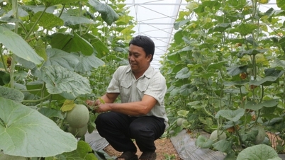 ផលិតផលកសិកម្មវៀតណាមនឹងបន្តទៅមុខទៀត ដោយសារខ្សែសង្វាក់តម្លៃ