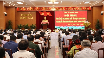 How does Dong Nai arrange and streamline its apparatus?