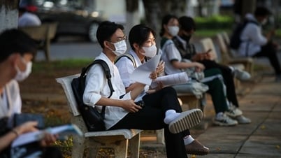 How to see the Ho Chi Minh City National University's assessment test scores?