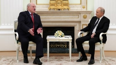 Sans la Russie, toutes les négociations sur l'Ukraine n'ont aucun sens, révèle le président Poutine, un chemin que Kiev a « presque » emprunté
