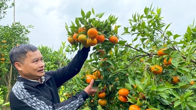 Đoàn kết phát triển sản xuất nông nghiệp hàng hóa