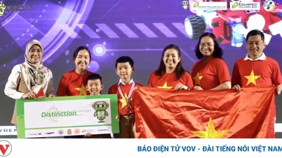 Vietnamesisches Team glänzt beim International Robothon 2024