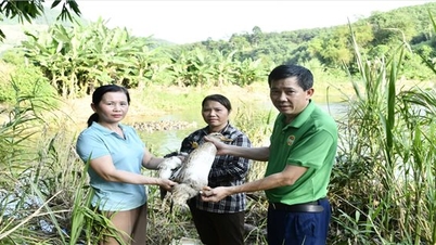 Hành trình nông dân đến doanh nhân của một phụ nữ dân tộc Tày