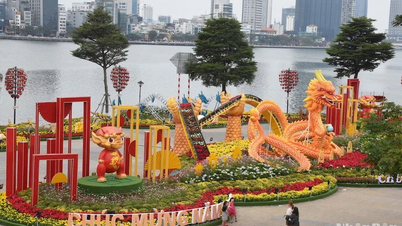 ទីក្រុង Da Nang សាងសង់សួននាគនៅស្រុក Son Tra