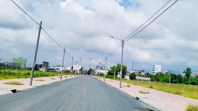 Proposal to transfer investigation file of auction of 270 land plots