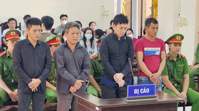 រៀបចំ​ច្រក​ចេញ​ខុស​ច្បាប់​ឲ្យ​អ្នក​ដទៃ​កេង​ប្រវ័ញ្ច​គ្រឿង​សមុទ្រ ជន​ជាប់​ចោទ​៤​នាក់​ជាប់​ពន្ធនាគារ​២៣​ឆ្នាំ