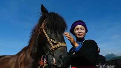 Bac Ha horse - a cultural feature of the Mong people