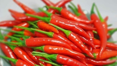 Cure many diseases from chili